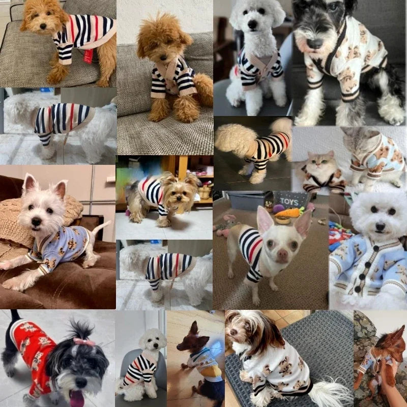 Doggyzstyle Winter Striped Knitted Dog Cardigan For Small Pets