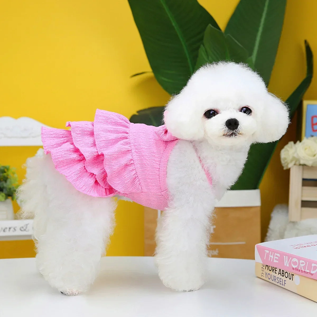 Guangdong Leather Dog Princess Dress Pet Skirt Costume