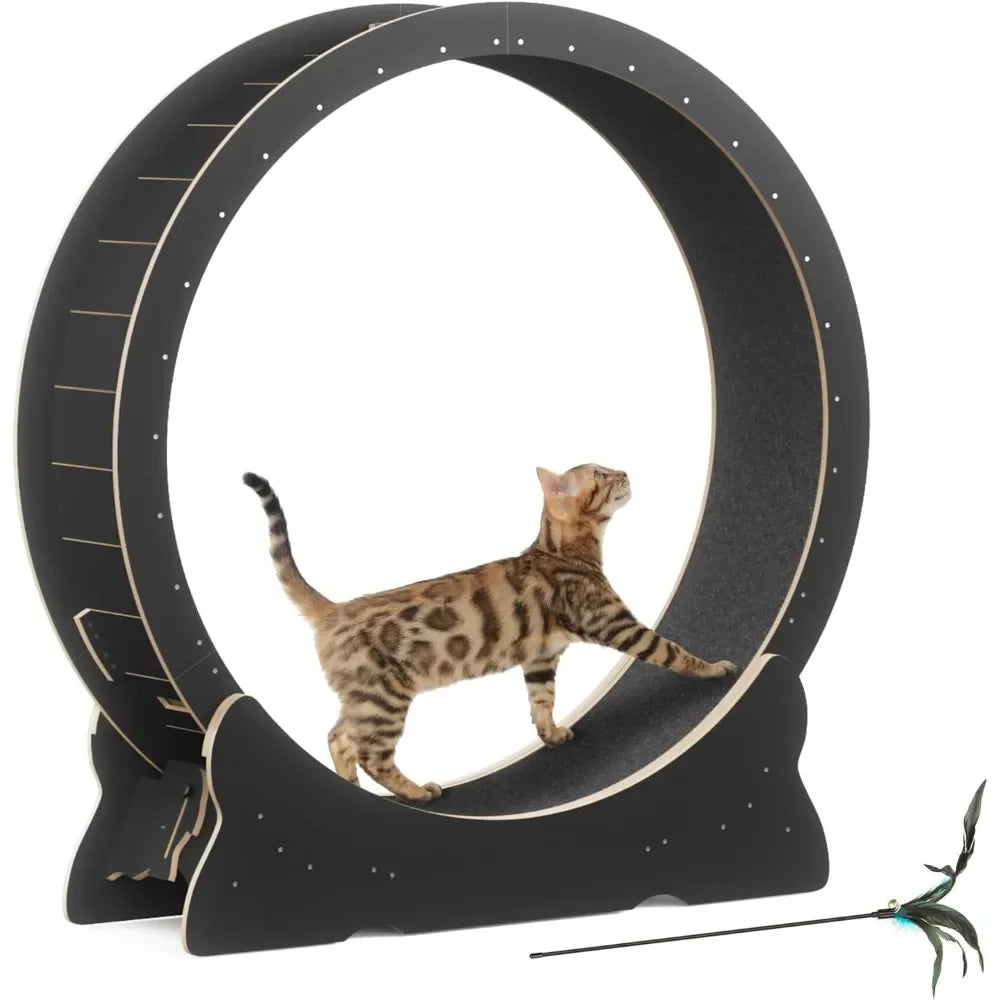 Cat Exercise Wheel by NoEnName_Null for Indoor Cats
