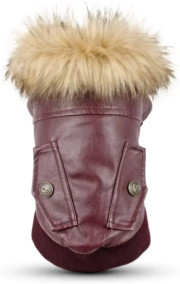 Hign-Concerned Waterproof PU Leather Winter Dog Jacket