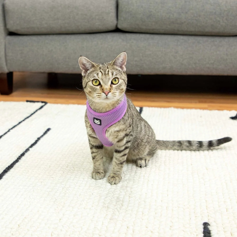 Purple Sparkle Cat Harness And Leash Set Fits 5 To 10 Lbs