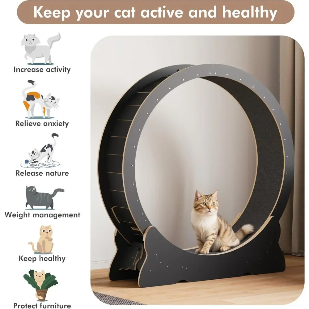 Cat Exercise Wheel by NoEnName_Null for Indoor Cats