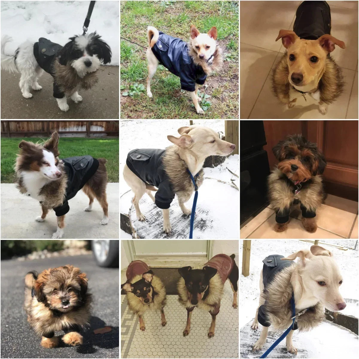 Hign-Concerned Waterproof PU Leather Winter Dog Jacket