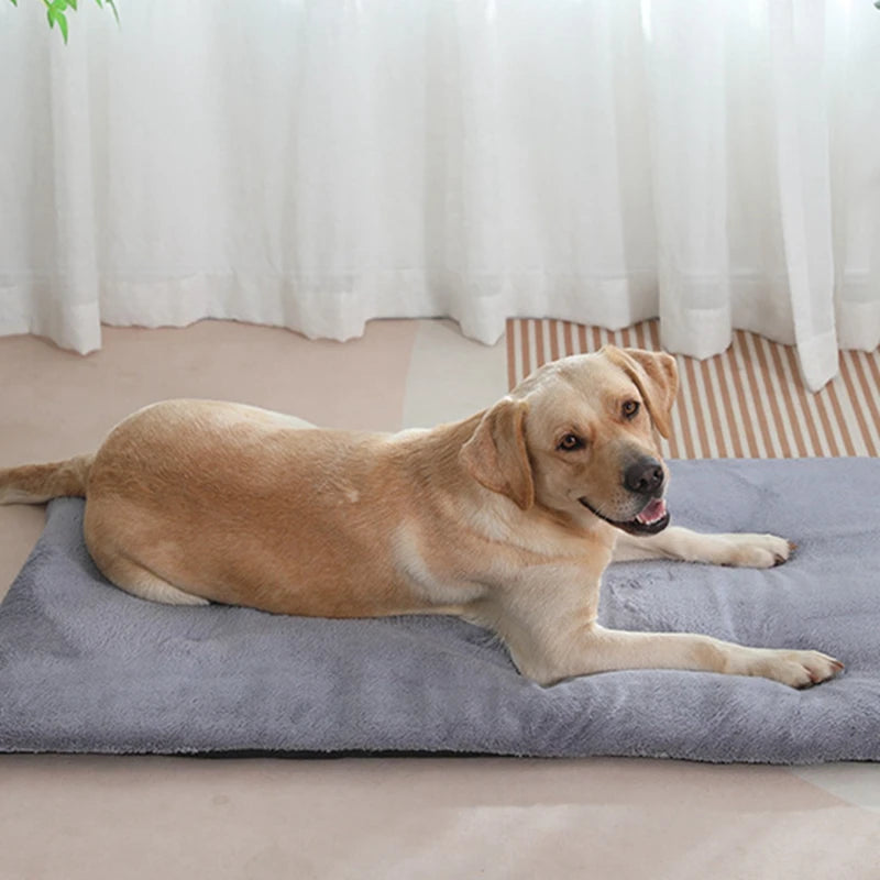 Cozy Plush Dog Bed Heated Mat For Cats And Dogs Premium