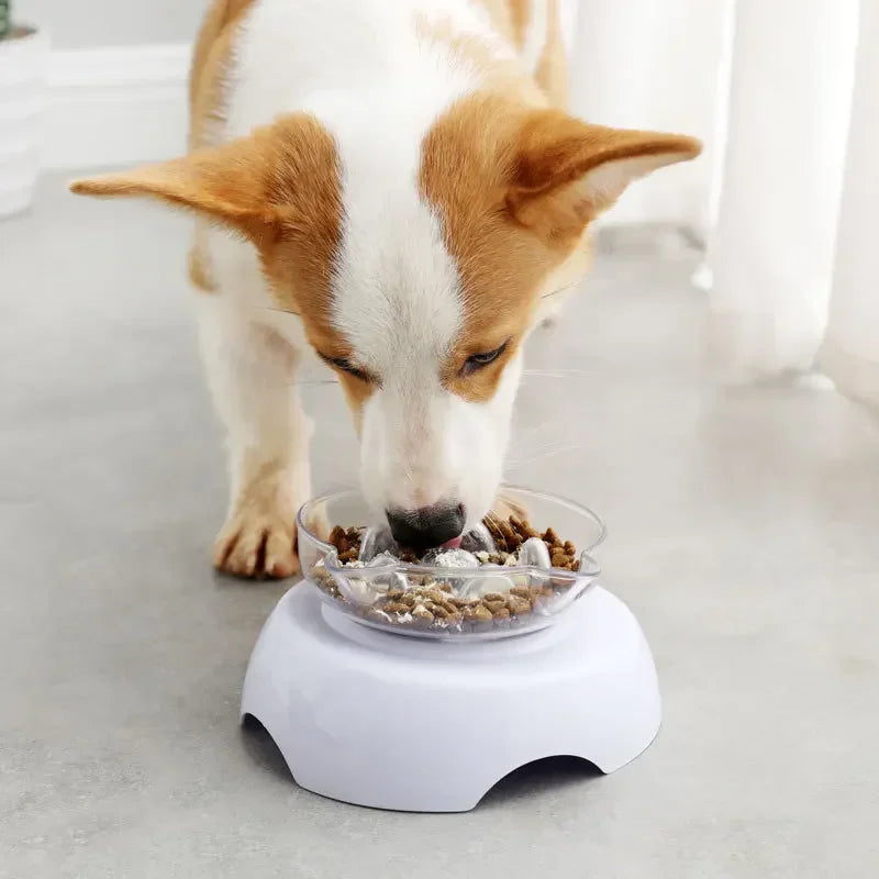 15 Degree Tilt Cat Bowl Anti Suffocate Slow Feeder Transparent Plastic Cat Food Bowl with Raised Stand