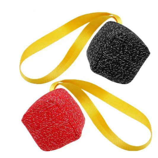 NoEnName_Null Interactive Chew Ball Toy for Dogs