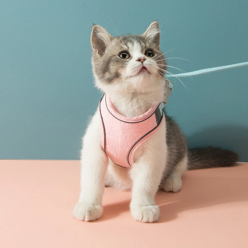 Breathable Cat Harness Leash Set With Reflective Strip