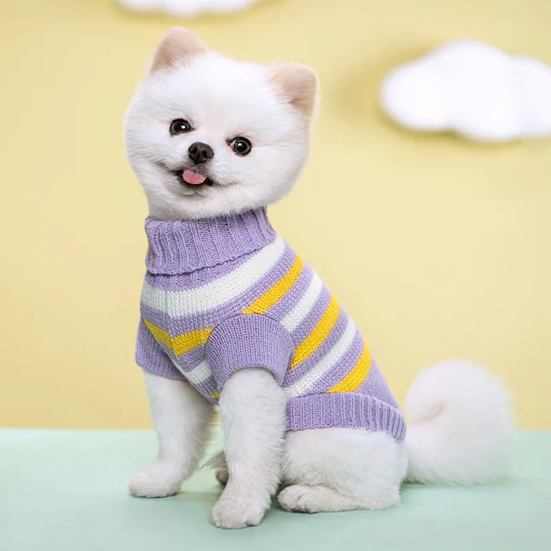 Guangdong CN Dog Knitted Sweater All Seasons Cozy Warm Clothes