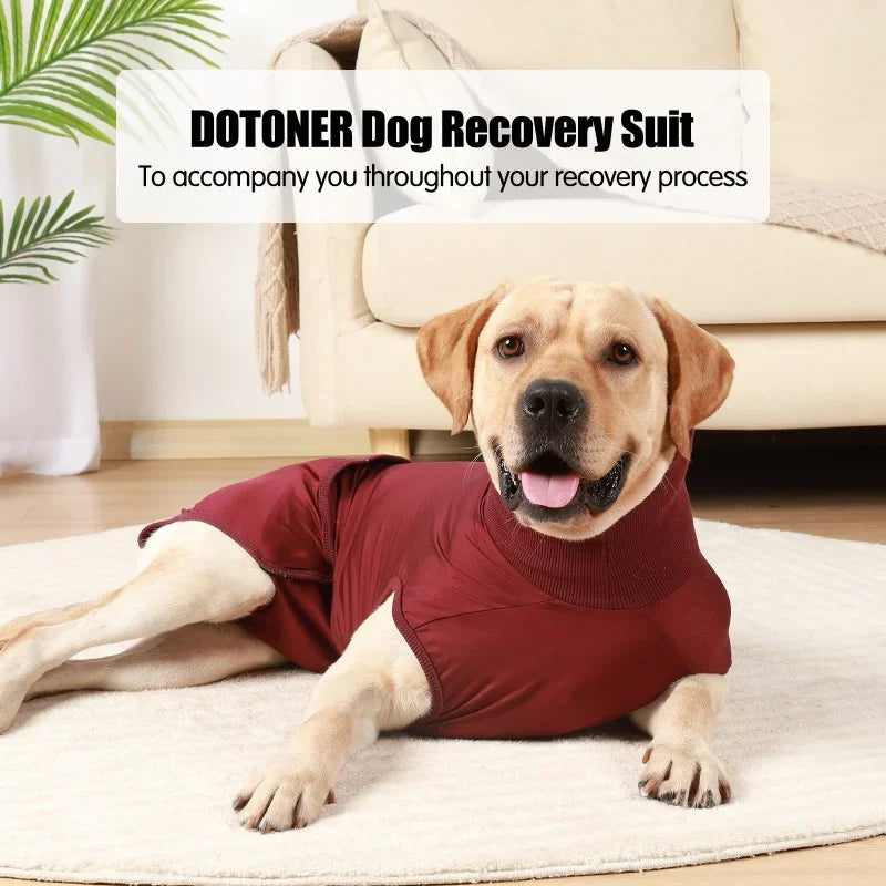Recovery Suit for Dogs and Cats After Surgery Pet Shirts
