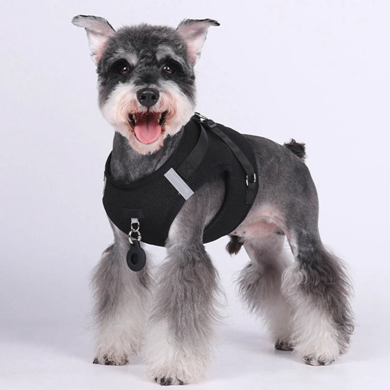 Pet Harness With AirTag Tracker And Leash For Small Dogs