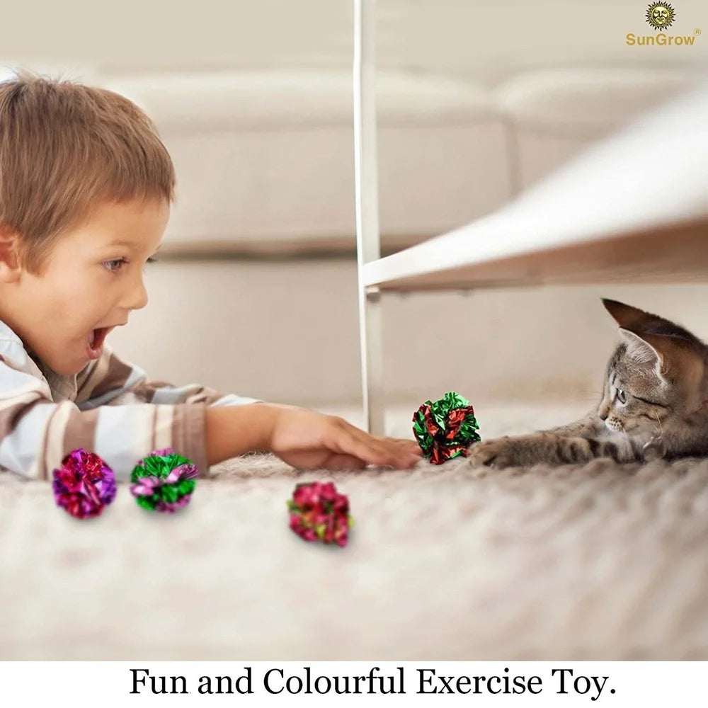 XMSJ Indoor Crinkle Balls for Cats and Kittens 12 Count