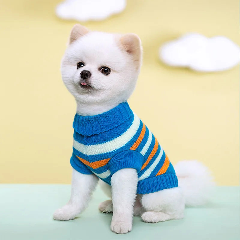 Guangdong CN Dog Knitted Sweater All Seasons Cozy Warm Clothes