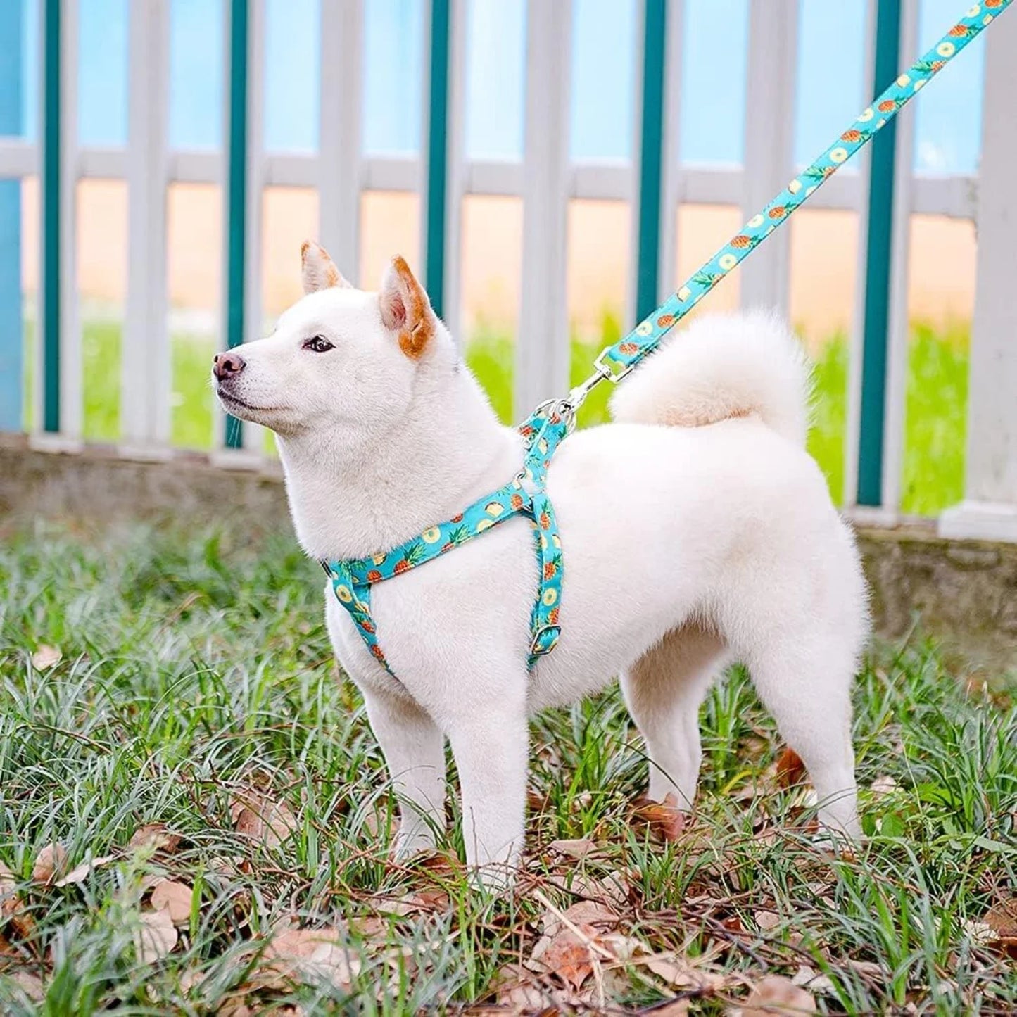 Cute Adjustable No Pull Vest Harness And Leash Set For Dogs