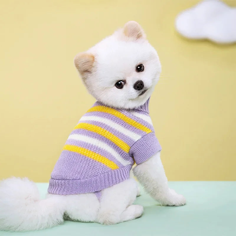 Guangdong CN Dog Knitted Sweater All Seasons Cozy Warm Clothes