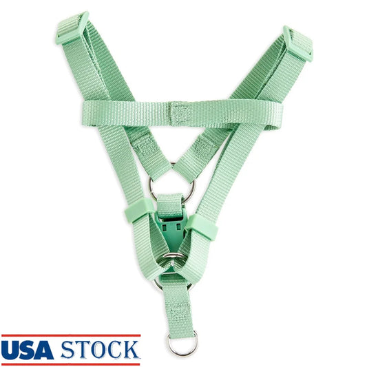 Medium Adjustable Dog Harness Sage Green With Two D Rings