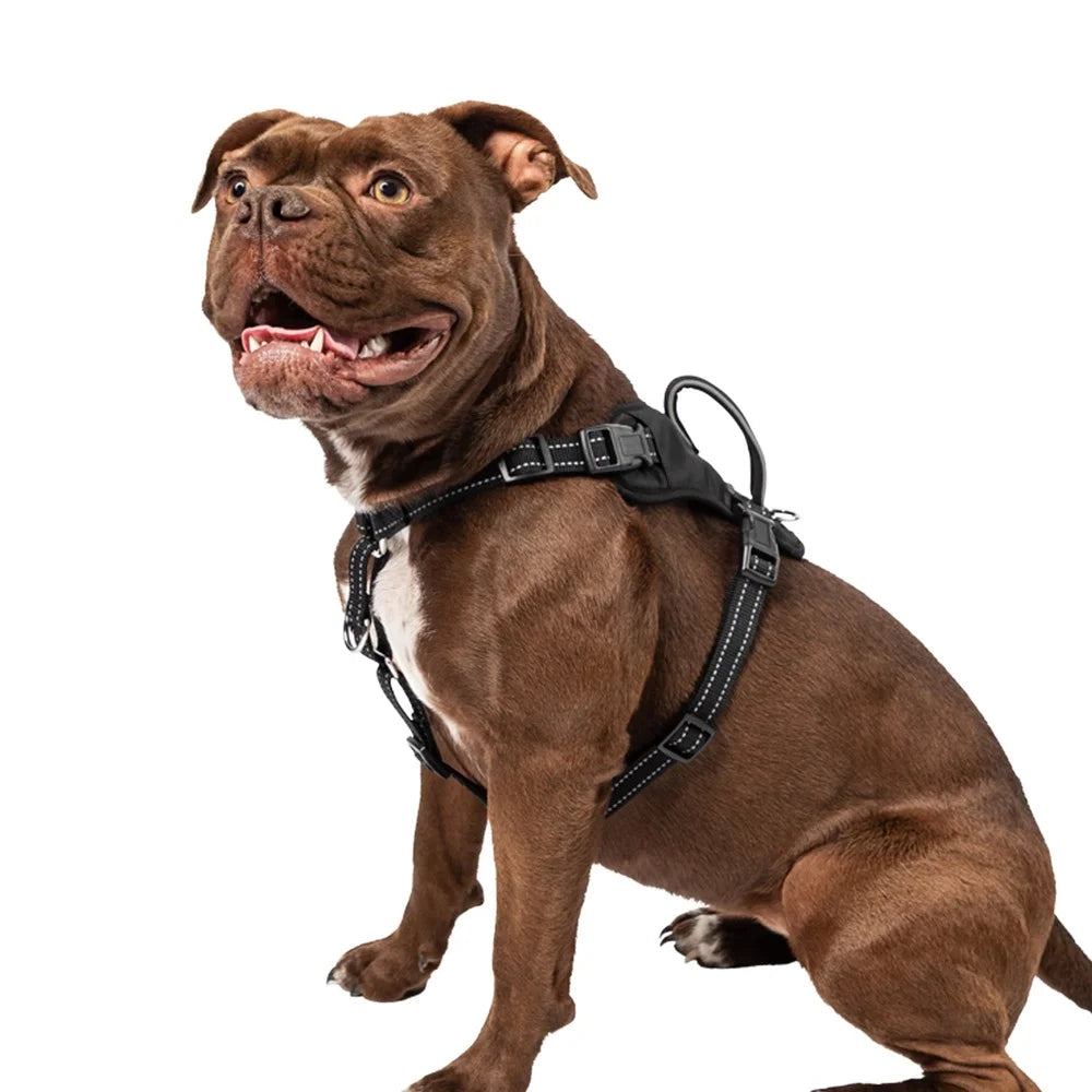 No Pull Comfort Harness For Medium Dogs Padded Reflective