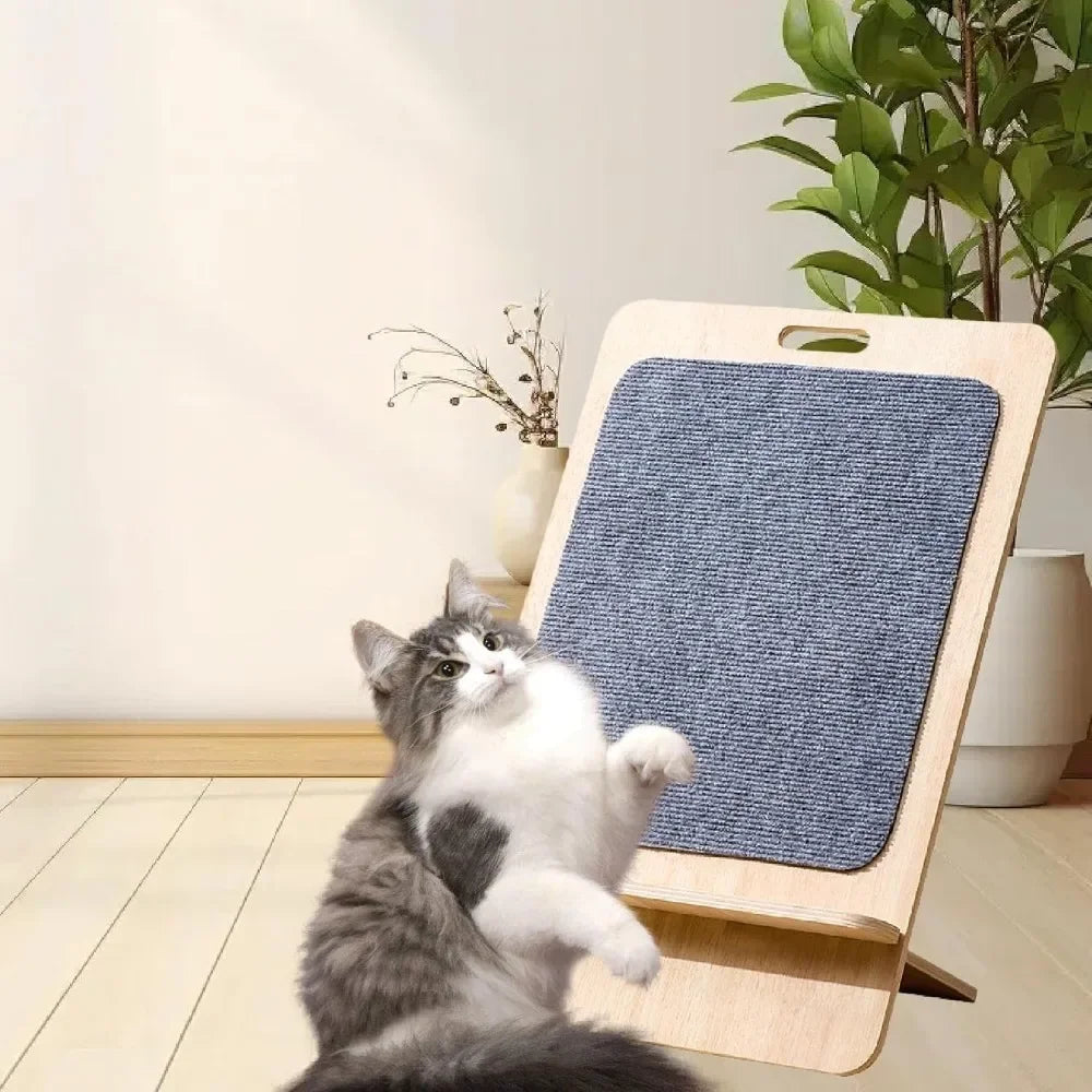 Cat Scratching Board Interactive Toy by NoEnName_Null