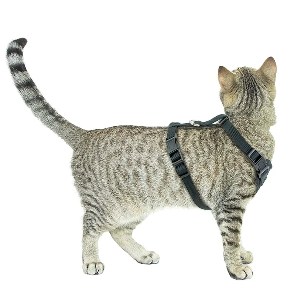 Adjustable Mesh Cat Harness And Leash Set 5 To 10 Lb Cats