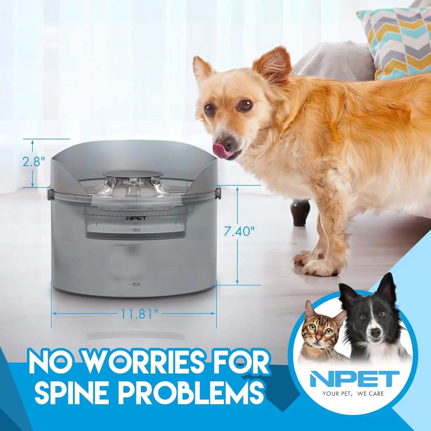 NPET DF30 Automatic Dog Water Fountain with Splatter Guard