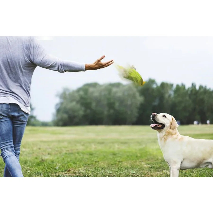 NoEnName_Null Plush Parrot Squeaky Dog Chew Toy