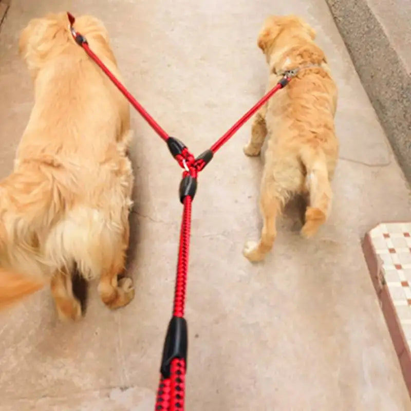 NoEnName Double Leash 360 Degree Rotation Knotless Pet Leash