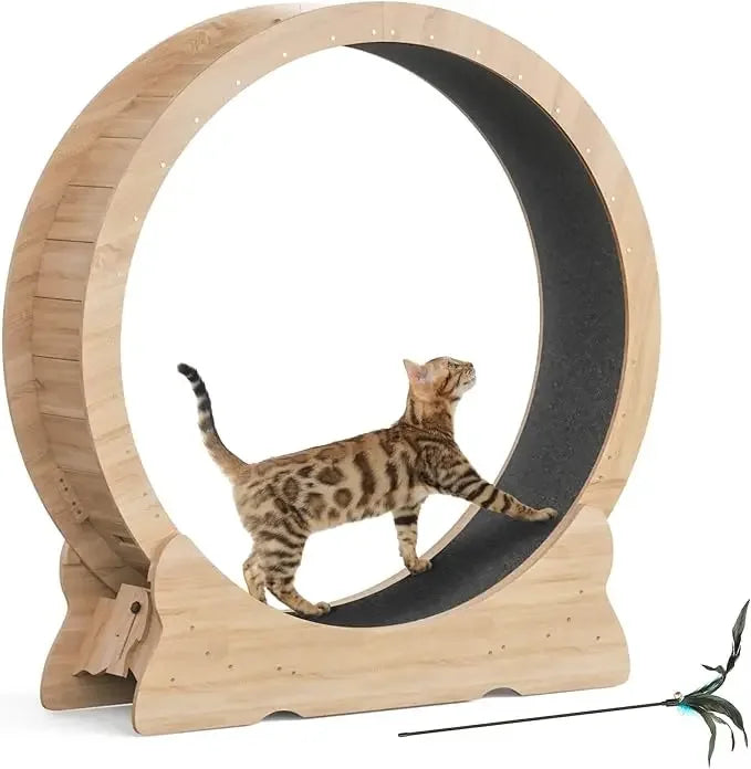 Cat Exercise Wheel by NoEnName_Null for Indoor Cats