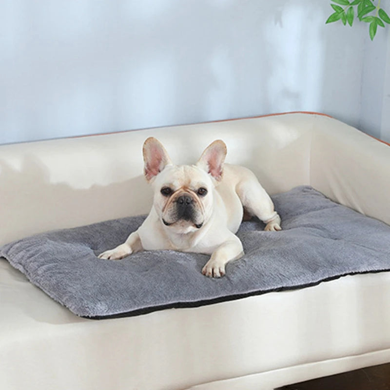 Heated Plush Dog Bed For Cats And Dogs Pet Sleeping Mat