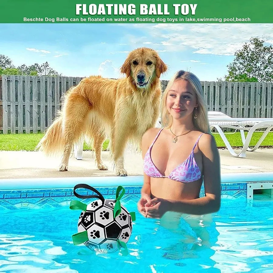 NoEnName_Null Dog Football Interactive Toy for Large Dogs