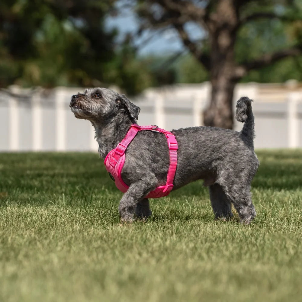 Adjustable Reflective Dog Harness For Medium Breeds Mesh
