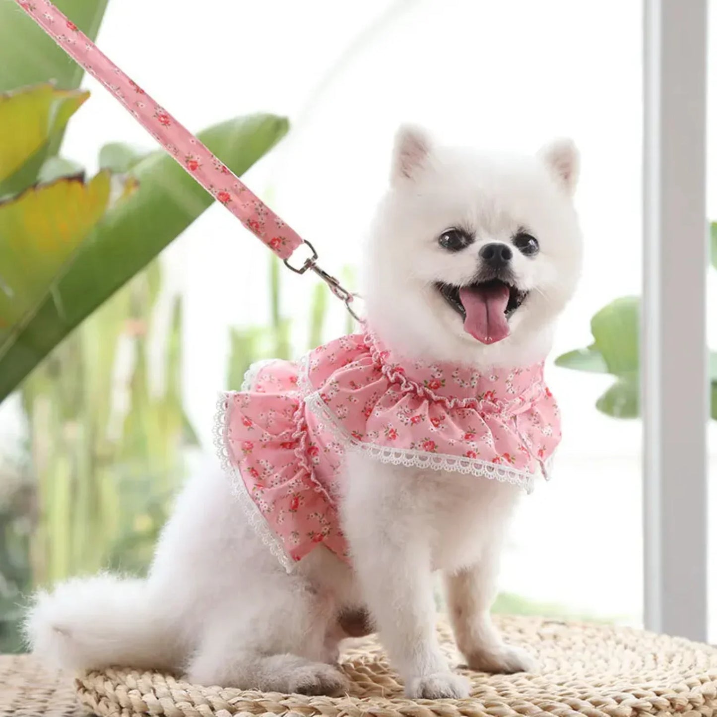 Adjustable Lace Floral Printed Dog Harness Leash Set