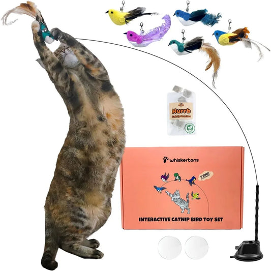 Hign Concerned Interactive Catnip Bird Toy Set With Suction