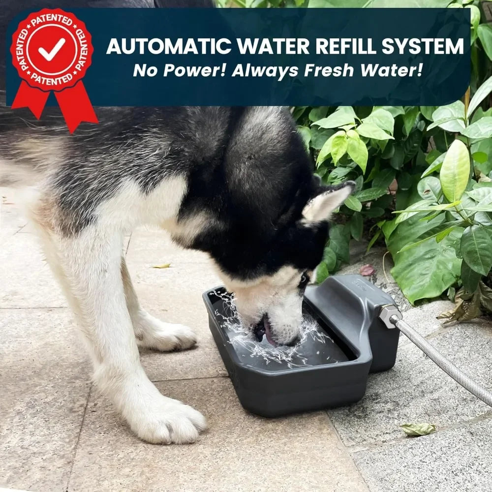 Automatic Dog Water Dispenser for Indoor Outdoor Use
