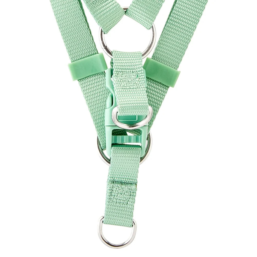 Medium Adjustable Dog Harness Sage Green With Two D Rings