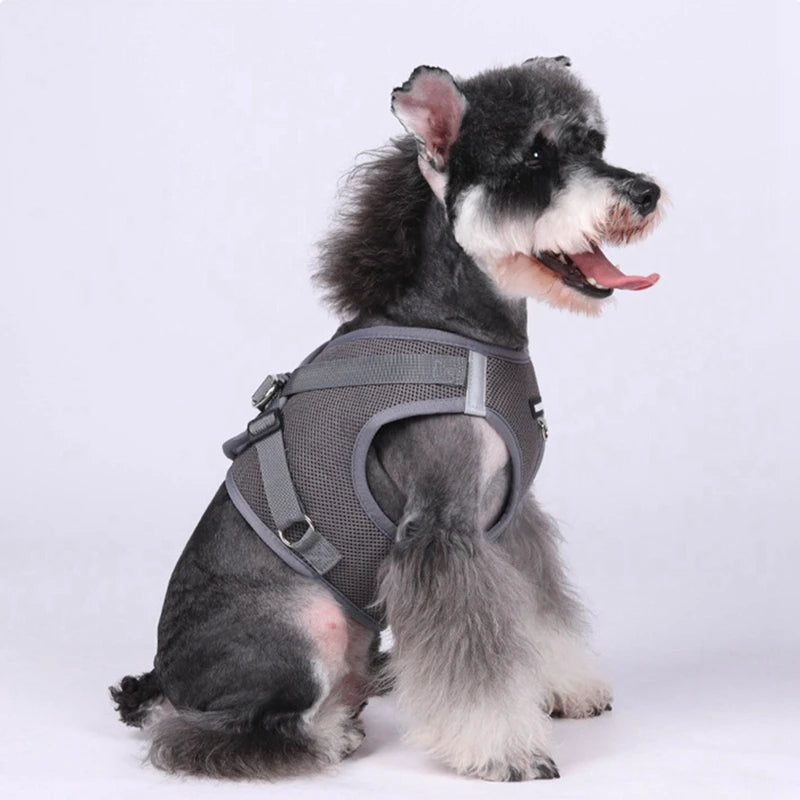 Pet Harness With AirTag Tracker And Leash For Small Dogs