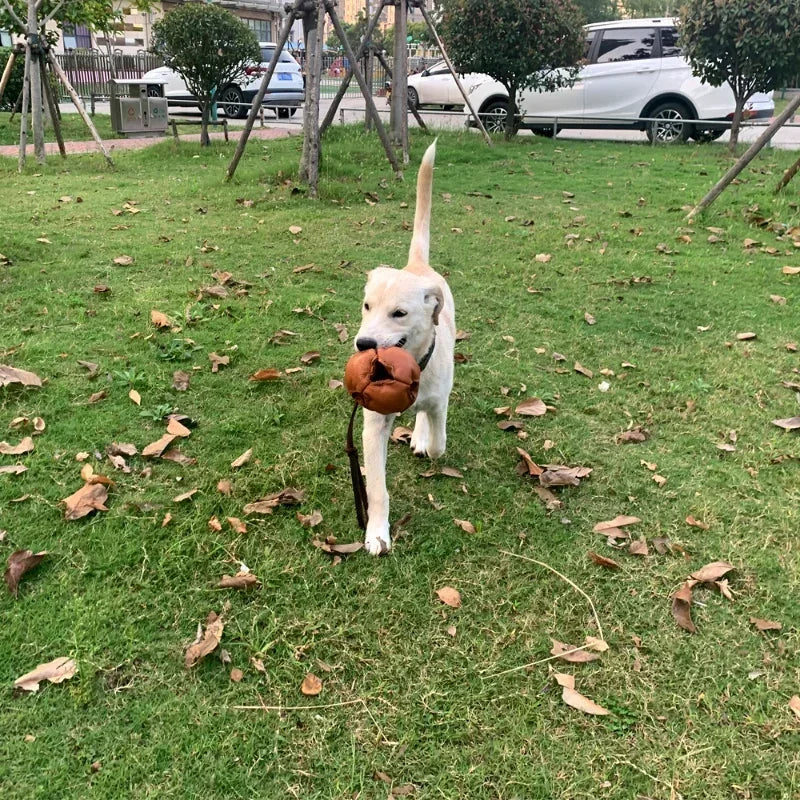 NoEnName Null Leather Dog Training Ball Toy with Handle