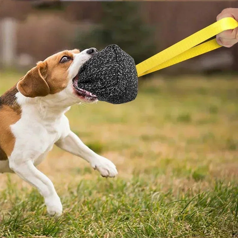 NoEnName_Null Interactive Chew Ball Toy for Dogs