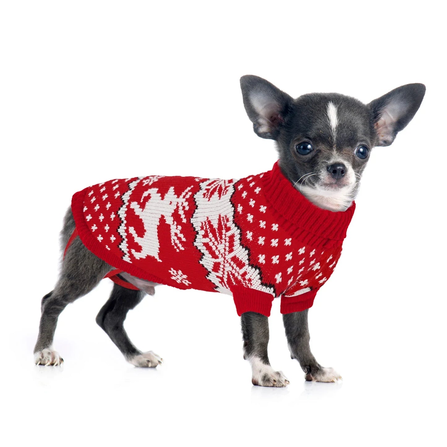 Dog winter clothing Christmas celebration clothes Knitted pet clothing Suitable for small to medium-sized dogs Pet sweater Red,