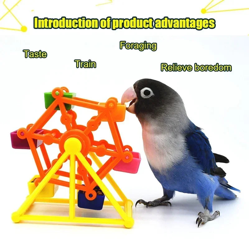 Guangdong Bird Foraging Toy Parrot Training Windmill Puzzle