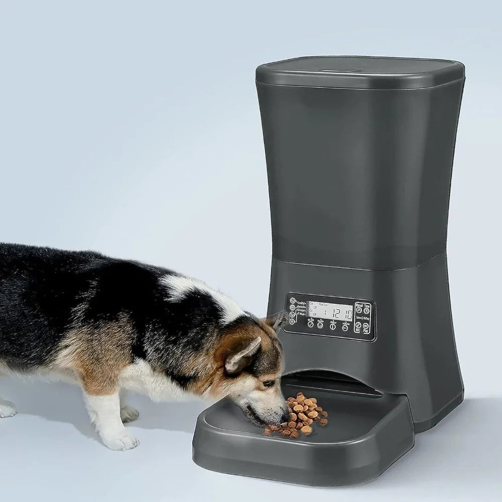 Automatic Dog Feeder with Timer for Large Dogs