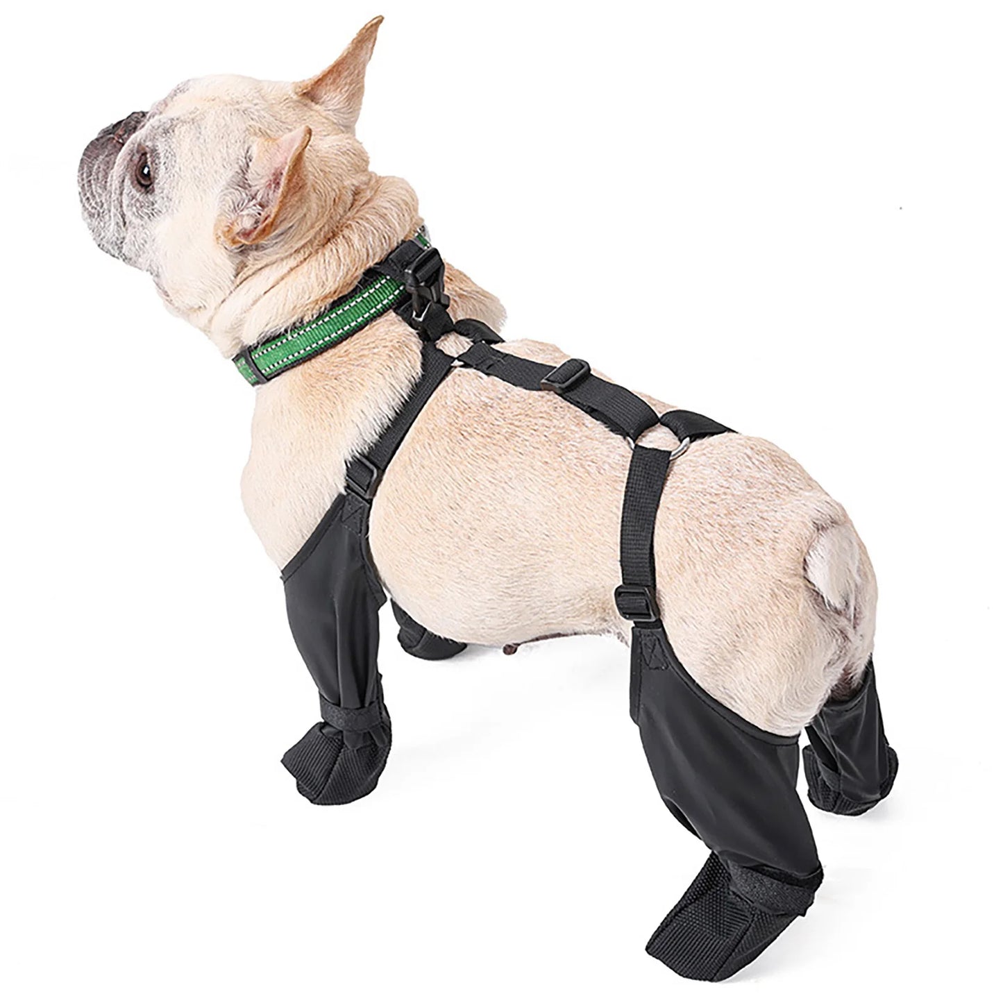 Guangdong All Weather Dog Pants With Paw Protector Strap