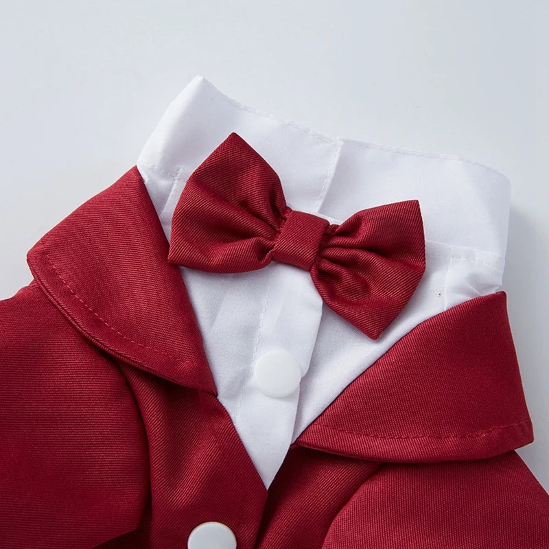 Guangdong Dog Tuxedo Formal Wedding Party Suit With Bow Tie