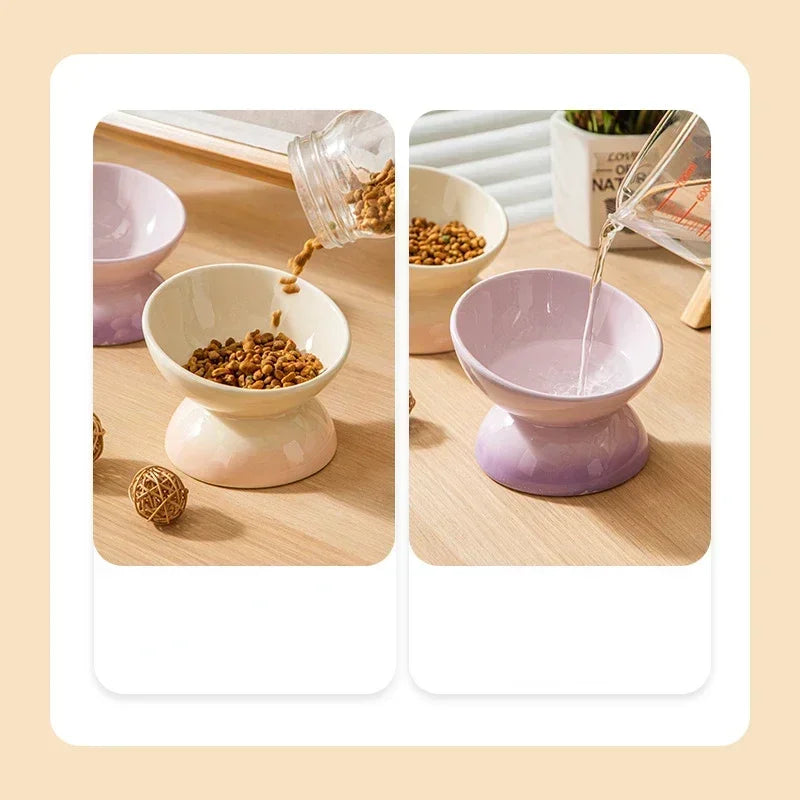 Tilted Ceramic Cat and Dog Feeders Gradient Water Bowl Raised Eating Supplies