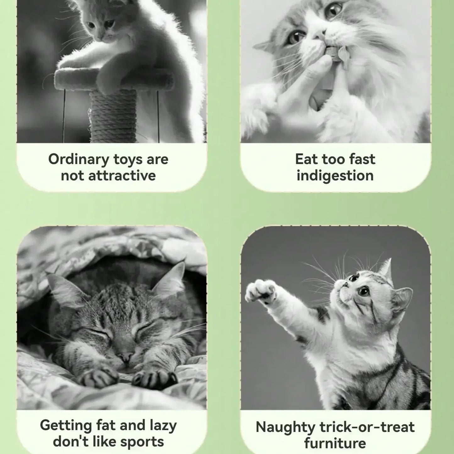 NoEnName Null Interactive Cat Snack Dispenser Educational Toy