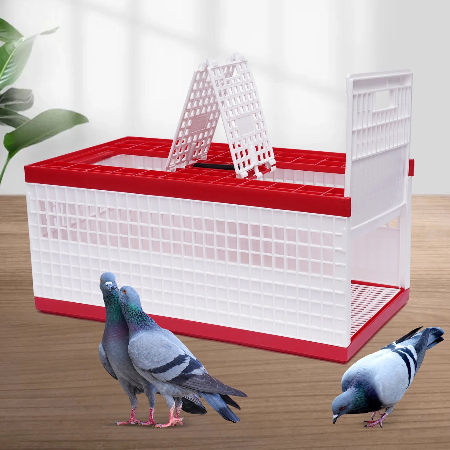 Sichuan Foldable Pigeon Carrier Portable Travel Bird Cage