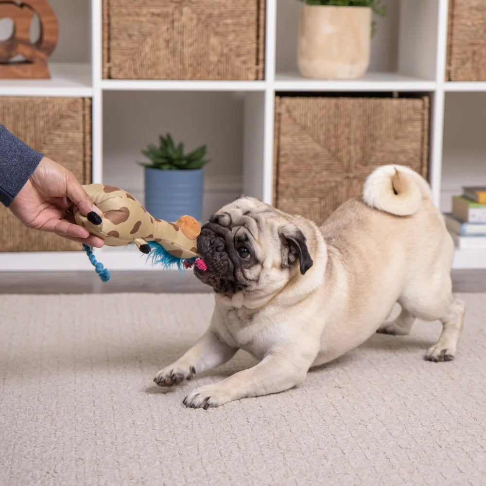 XMSJ Durable Long Neck Giraffe Plush Dog Toy