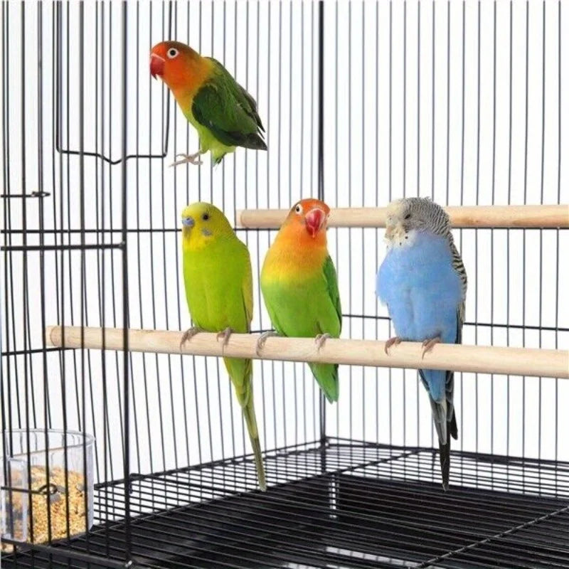 Guangdong Stackable Breeding Flying Parakeet Habitat Cage