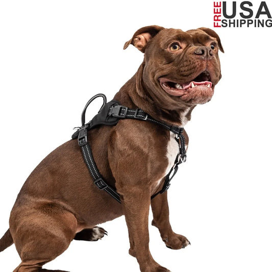 No Pull Comfort Harness For Medium Dogs Padded Reflective